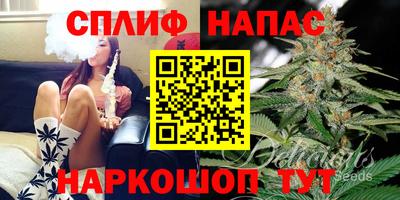 СК Малоярославец