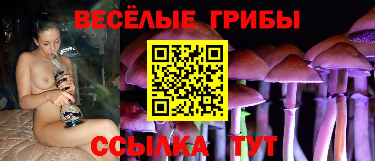 Галлюциногенные грибы мицелий Узловая